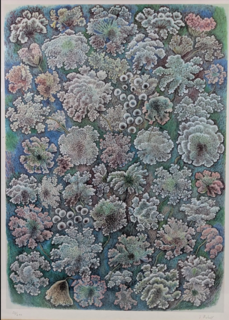 Vente aux enchères : Lithographie Ombelles du matin