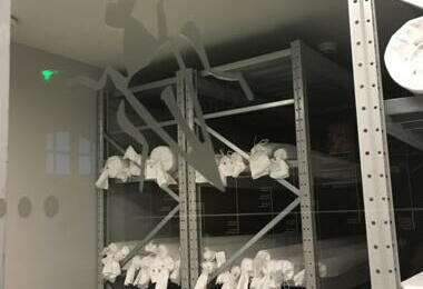 Réserve des cartons