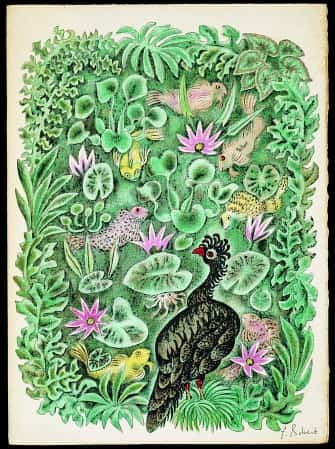 L’Oiseau noir  ou Les Poissons et le Cormoran (1/2)*