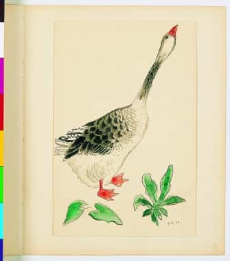 Le jars de Grange Basse