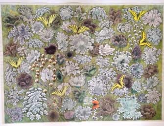 Les Papillons jaunes*