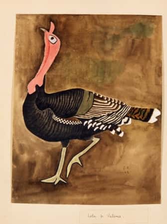 Lola de Valence (une dinde)