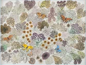 Ombelles - maquette tap Ombelle