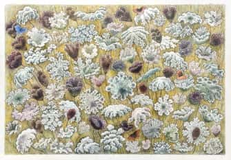 Ombelles bleutées et mauves et papillons