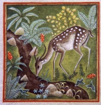 Quemadmodum - Biche s’abreuvant*