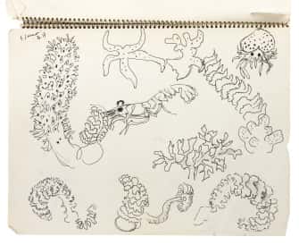 Poissons, algues et crustacés