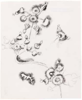 Bouquet de fleurs de pissenlits