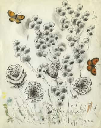 Graminées et ombelles avec papillons