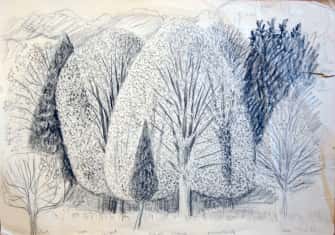 Paysage avec arbres