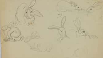 Lapins
