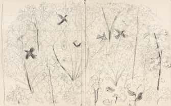 Oiseaux en vol dans un bosquet