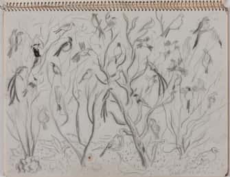 Oiseaux dans des feuillages