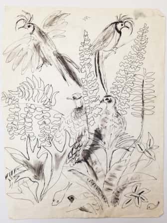 Oiseaux exotiques et plantes tropicales