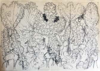 Sous-bois aux biches