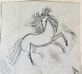 Cheval de cirque (Farfadet)