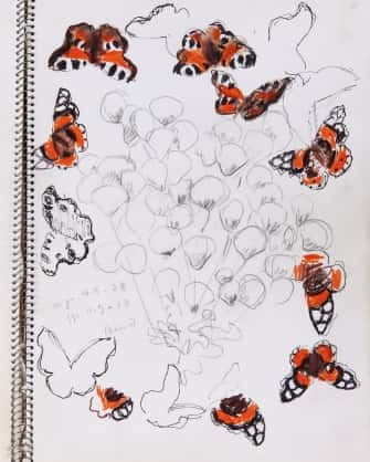 Papillons et chardons